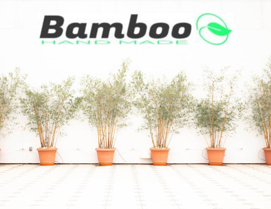 BAMBOO, RENEWABLE RESOURCE