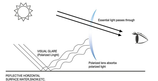 POLARIZED LENSES FOR FISHING AND HOW THEY HELP.