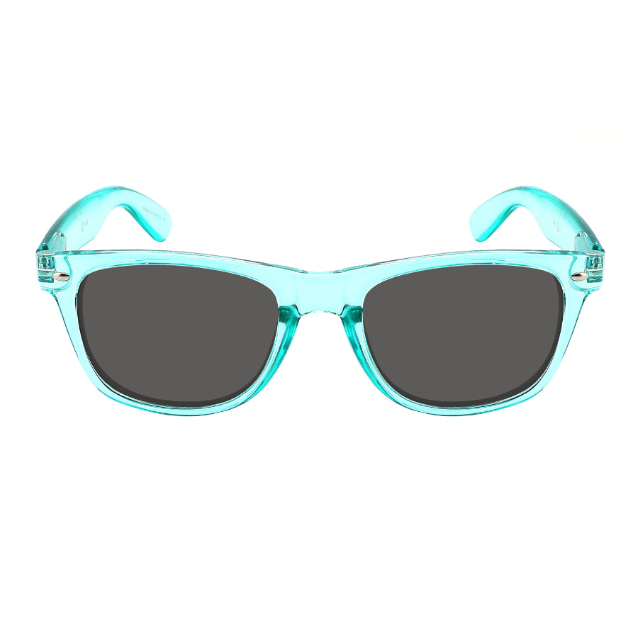 HORNED RIM UNISEX BULK WHOLESALE SUNGLASSES 5401ASCL-SD