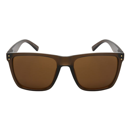 POLARIZED BIG & TALL HORN RIMMED MEN BULK SUNGLASSES BG541076S-P